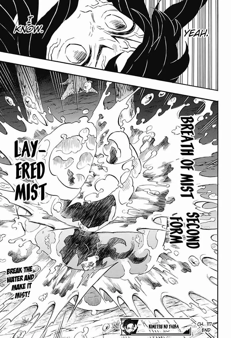 Chapter 117, page 17